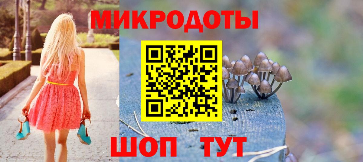 Заволжье  Псилоцибиновые грибы ЛСД  где продают наркотики  Вход с VPN  Псилоцибиновые грибы GOLDEN TEACHER 